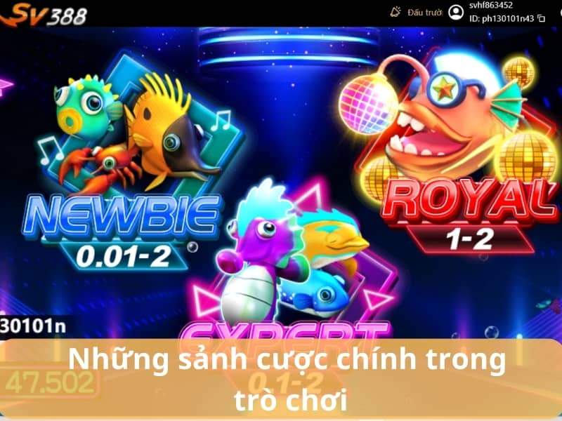 Bắn cá Disco có 3 sảnh cược dành cho người chơi