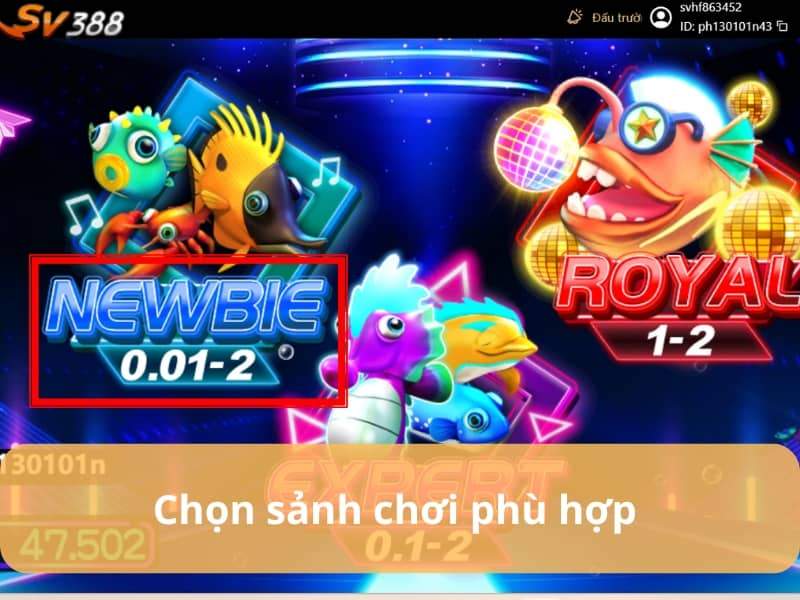 Chọn sảnh cược và bấm Play để bắt đầu chơi